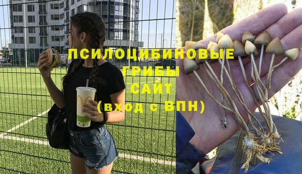 спиды Кодинск